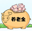 个人养老金业务